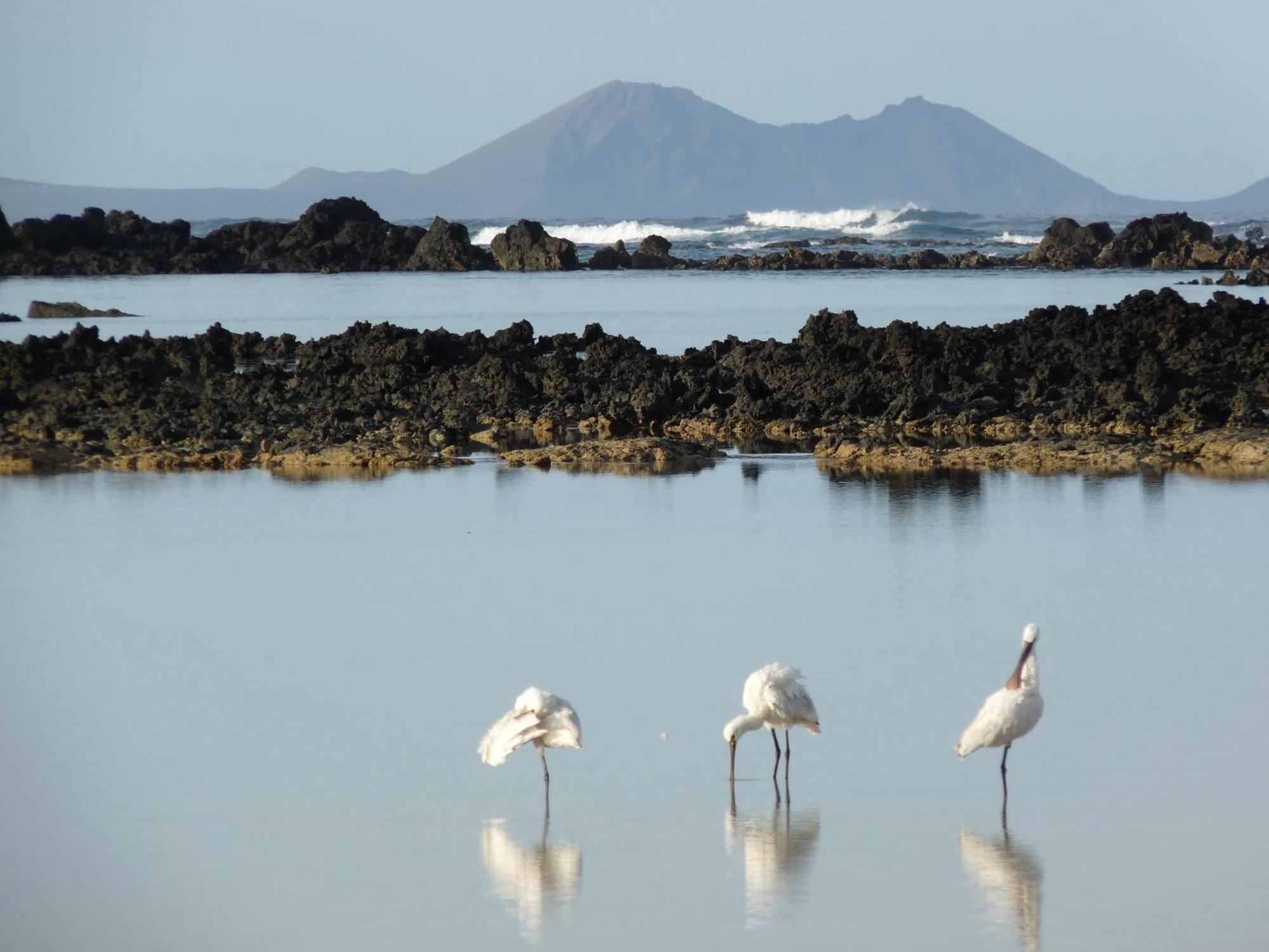 Casa Ana Y El Mar - Para Enamorados Del Mar - Lanzarote Teguise  Dış mekan fotoğraf